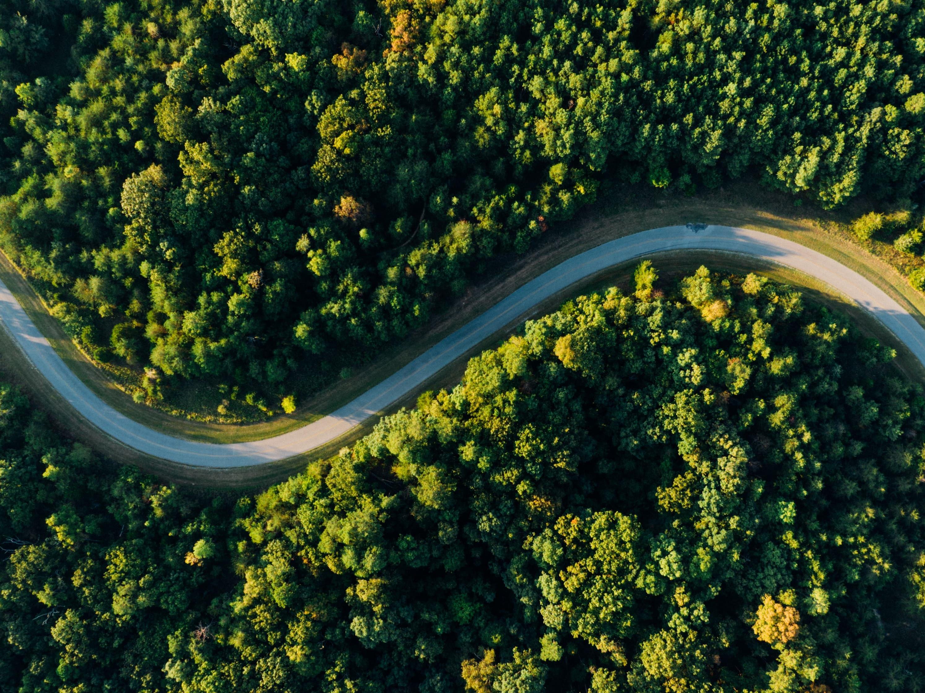 Aerial photo of road weaving through forest