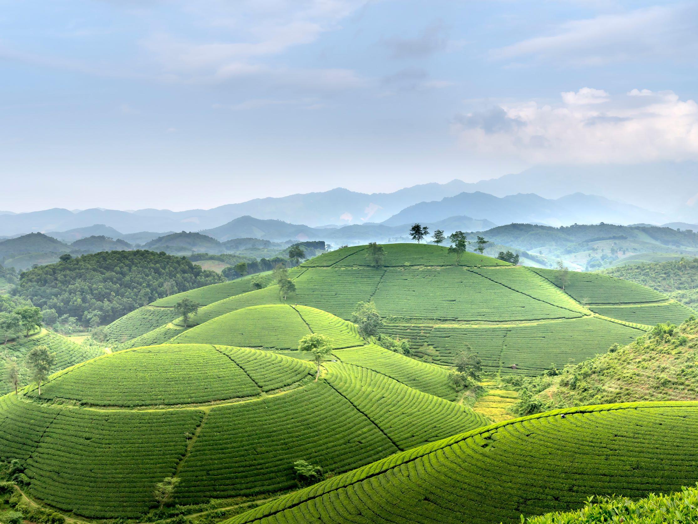 Landscape view ©pexels quang-nguyen-vinh