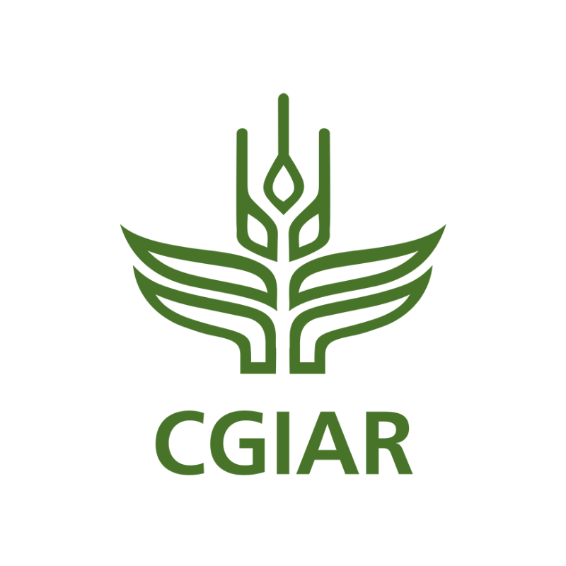 International Food Policy Research Institute (IFPRI) logo