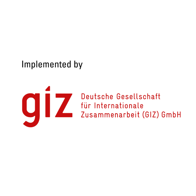 GIZ logo