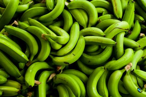 Bananas © Marvin del Cid, Fairtrade Austria
