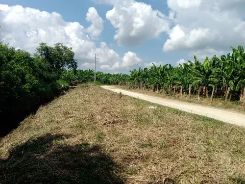 Blueprint project-Colombia05 © Sustainable Agriculture Network