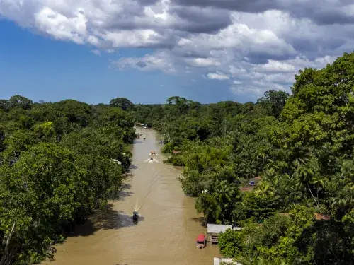 Drone view of the Combu Island in Belem © Alex Ferro, COP30 Brasil Amazonia