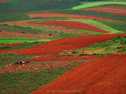 Landscape of rolling hills with brown, orange and green fields