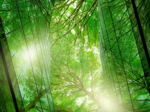Reflection of forest and sunlight on windows © Adobe Stock