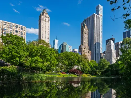 New York City skyscrapers from Central Park with green trees and a bright blue sky