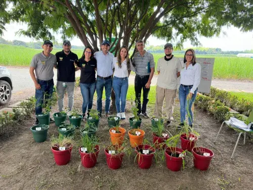 Group of adults standing in front of plant pots. 