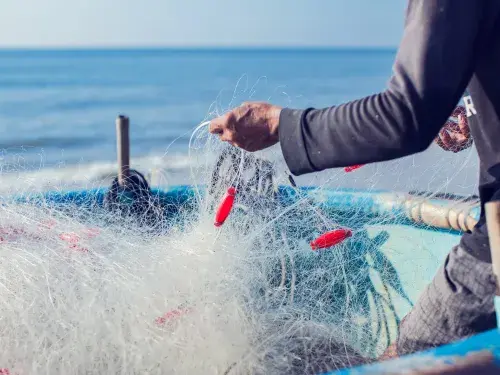 Fishing nets on a boat on the sea and a person pulling it © Adobe Stock