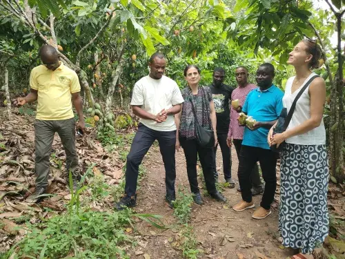 ISEAL Innovations Fund, Fairtrade and Mondelēz International Cocoa Cooperative Organisational Strengthening Programme (CCOSP) staff at cocoa cooperative