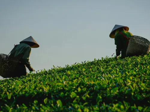 Two two workers in a field on a clear day