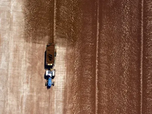 Rooibos seen from a drone in South Africa © Giuseppe Cipriani for UTZ