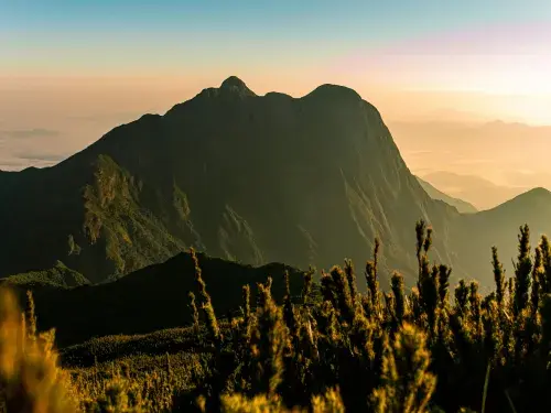 Pico Parana in Brazil, mountains with sunset and clouds in the background, plants in the foreground 
