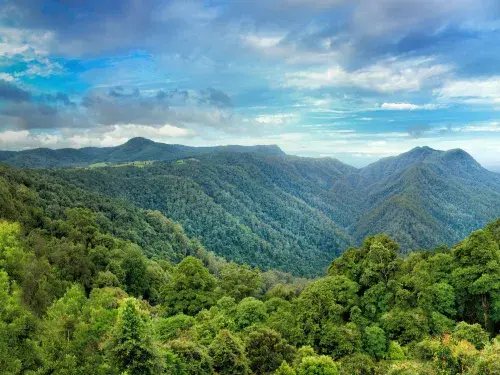 Rainforest landscape across mountains across a blue cloudy sky © Adobe Stock