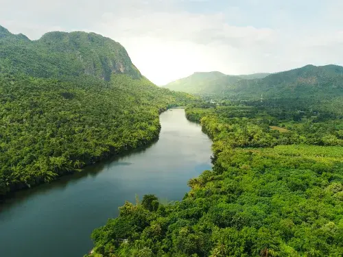 River flowing through rainforest landscape © Adobe Stock