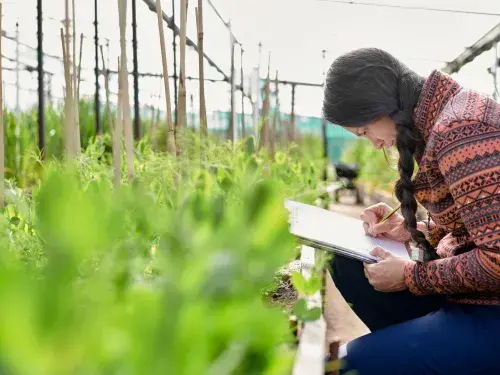 Woman collecting data by taking notes next to various plants © Adobe Stock