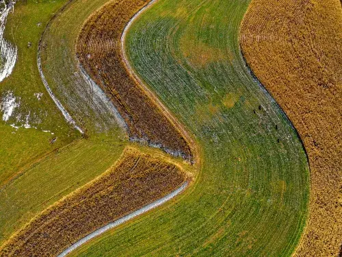 S-shaped rows of crops