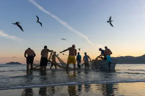 Aquaculture producers working at sunset against a clear sky
