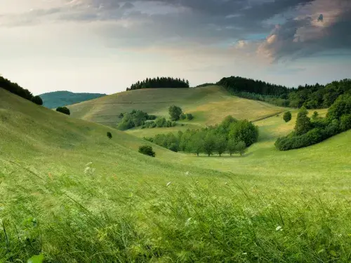 Green hilly landscape with trees in the valley and horizon