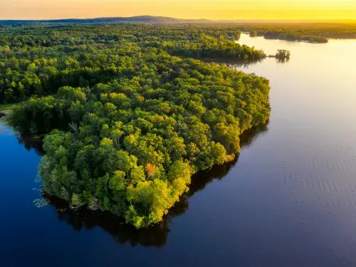 Tree-covered island during sunset