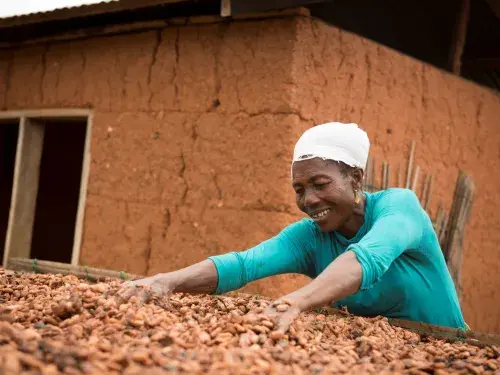 Woman drying out cocoa beans in Ghana © Fairtrade