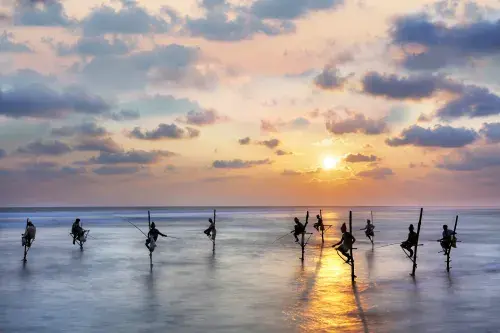 Fishermen on stilts in silhouette at the sunset in Galle, Sri Lanka