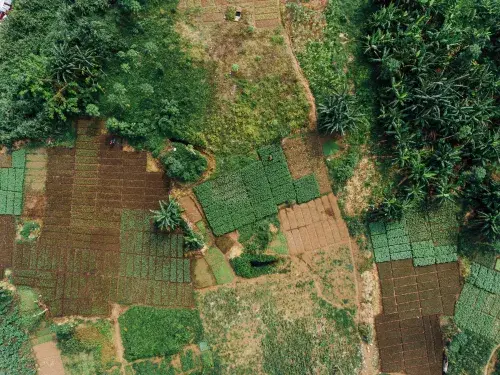 Birds eye view of various brown and green fields at different stages of growth