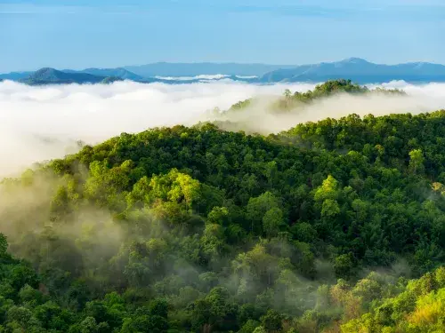 Forest and mountains covered in green trees with white clouds above the treeline