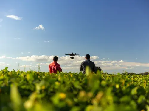 Drone beginning to fly over a soybean farm with two people assisting