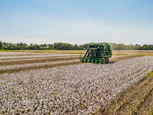 Combine harvester cotton farming © Unsplash