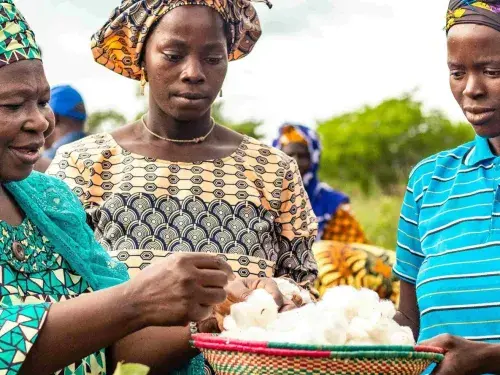 Women look at contents of a bowl in Mali © Better Cotton Initiative