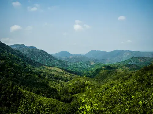 Green forest landscape with mountains in the background covered in trees © Pexels