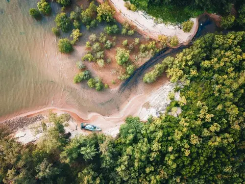 Birds eye view of sea shore with forest