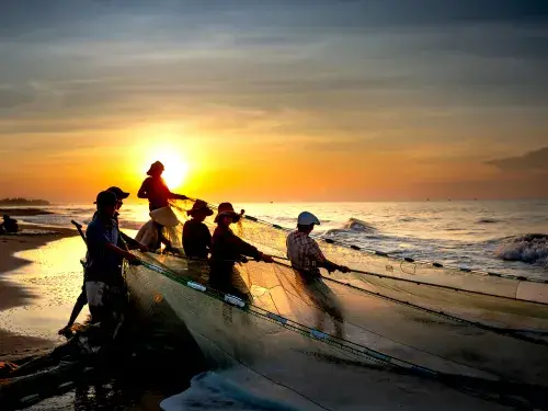 Group of people pulling a fishing net in the sunset © Pexels