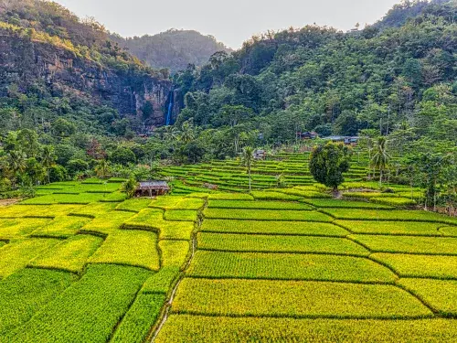 A network of stepped rice paddies divided by irrigation ditches with a number of homesteads visible with mountains and a waterfall &copy; Pexels