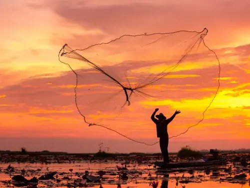 Fisherman net being cast with an orange and yellow sunset sky © Adobe Stock