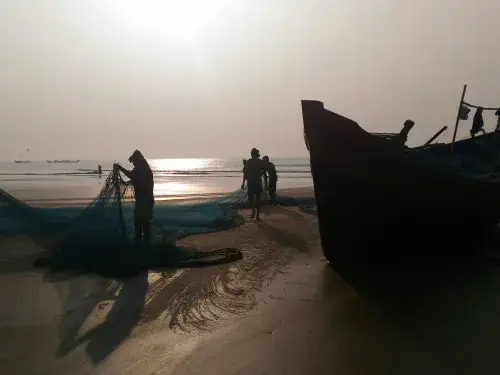 Several fishers pulling a net next to a small boat on a sunny beach
