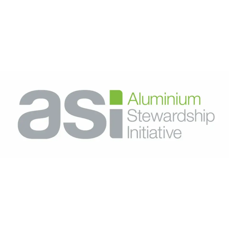 ALSI 1:1