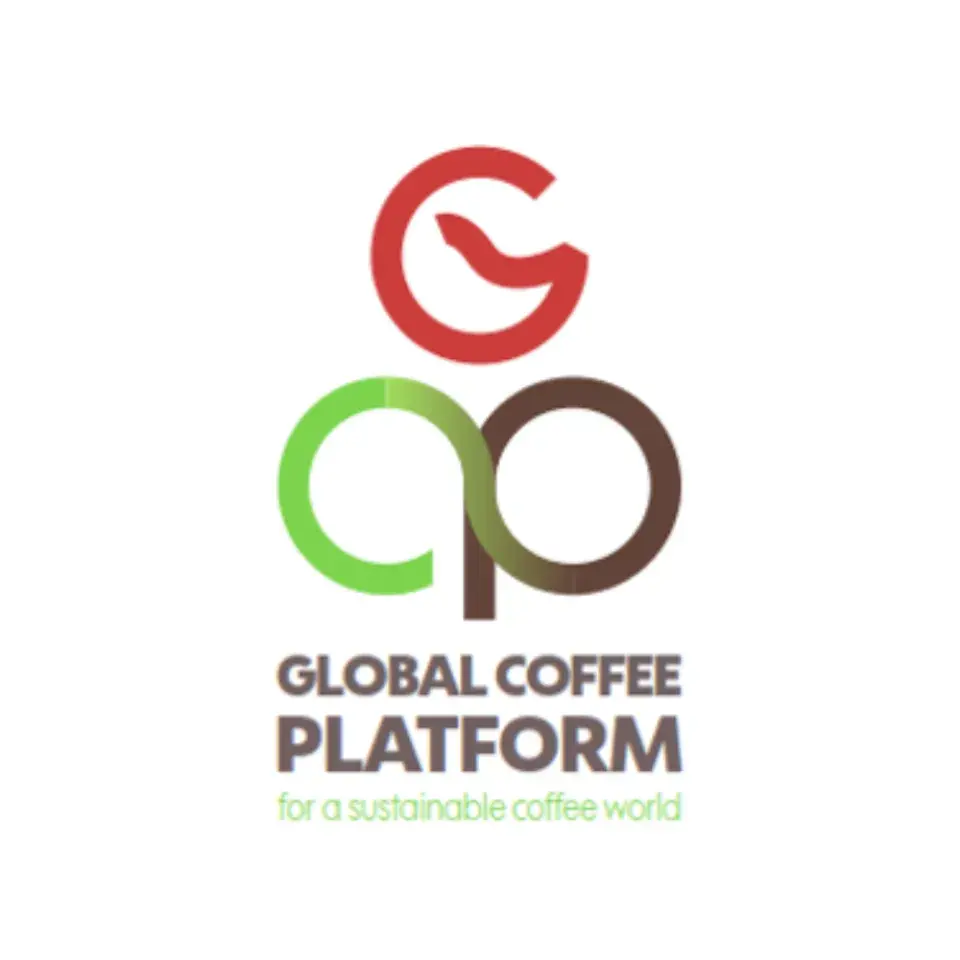 GCP 1:1
