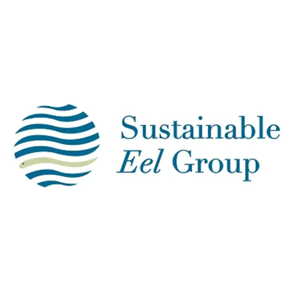 SEG 1:1