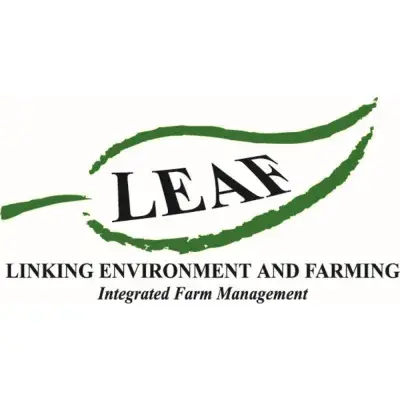 LEAF 1:1