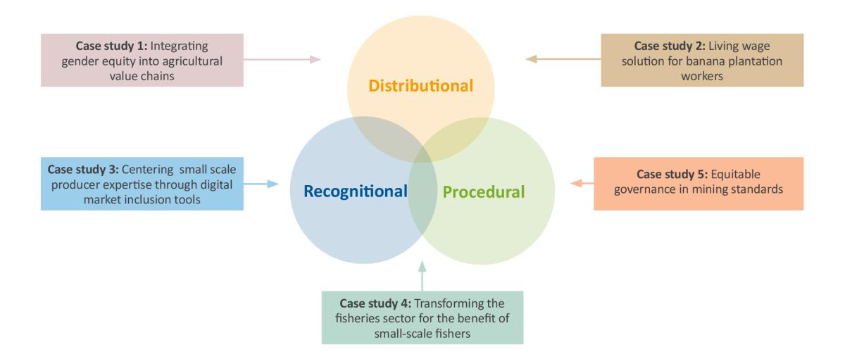 ISEAL's Equity Framework