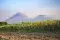 Mountains behind sugar cane © Joe Woodruff Bonsucro 09