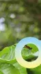Dragonfly © Evidensia