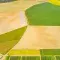 Aerial view of fields © Kletr, Adobe stock