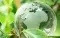 Green Earth © Adobe stock