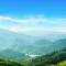 landscape, green © Adobe Stock.jpg 
