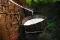 Coconut milk shell