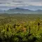 Sabah landscape, Malaysia © RSPO