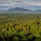 Sabah landscape, Malaysia  © RSPO