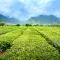 Green field with mountain backdrop © Quang Nguyen Vinh, Pexels